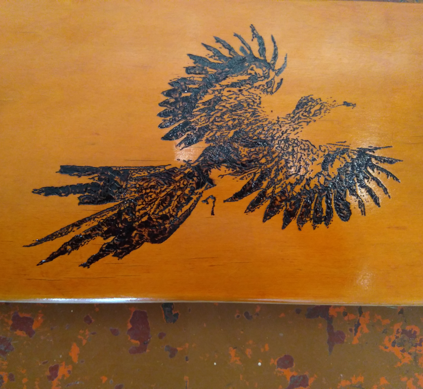 road runner close-up
